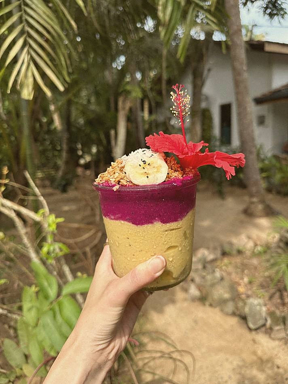 A fresh smoothie bowl topped with hibiscus