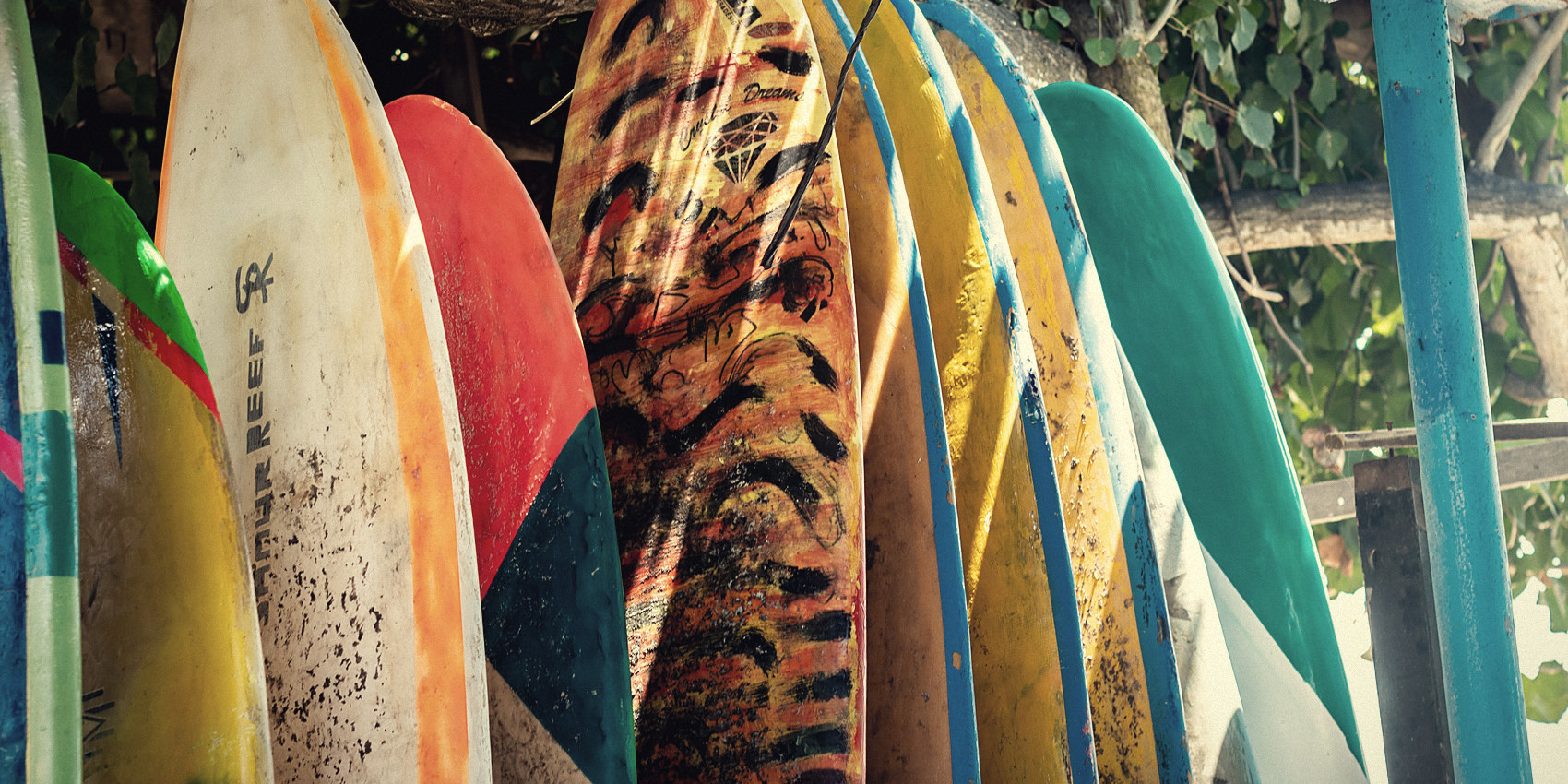 A rack of well-used surfboards standing under a tree